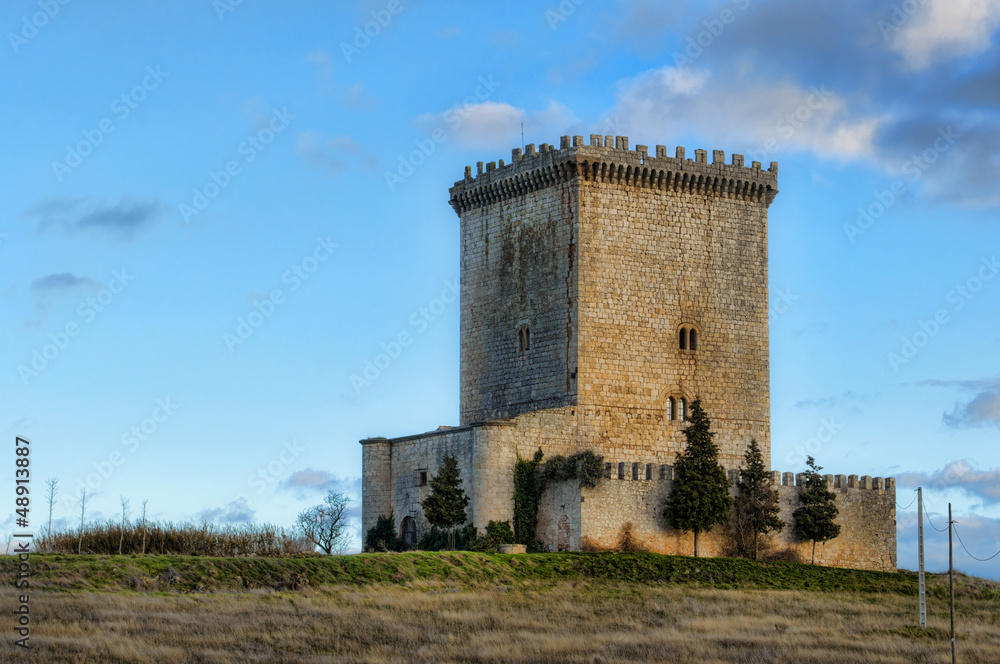 Castillo de Mazuelo de Muñó ,Burgos (España)