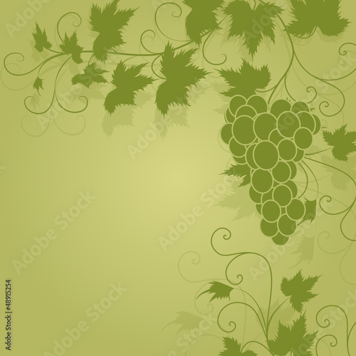 wein, weinblatt, weintraube, leaf, vines, deko, floral, vektor, 