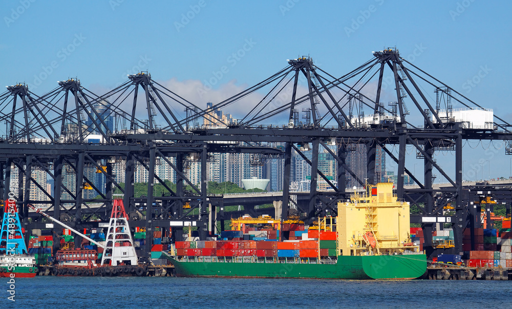 trading seaport with cranes, cargoes and the ship
