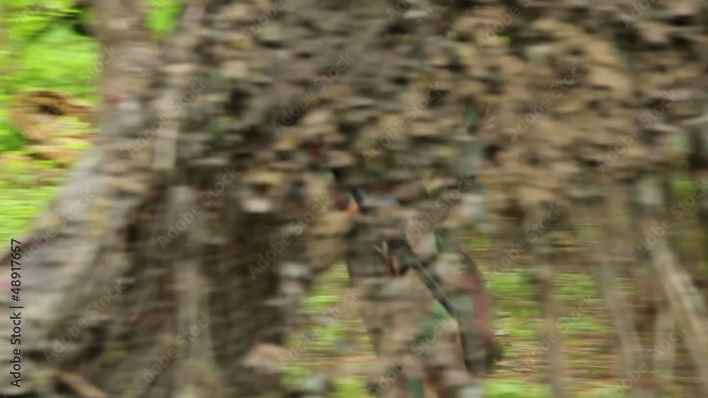 Boy in camouflage stand with paintball gun and then run away Boy in camouflage stand with paintball gun and then run away