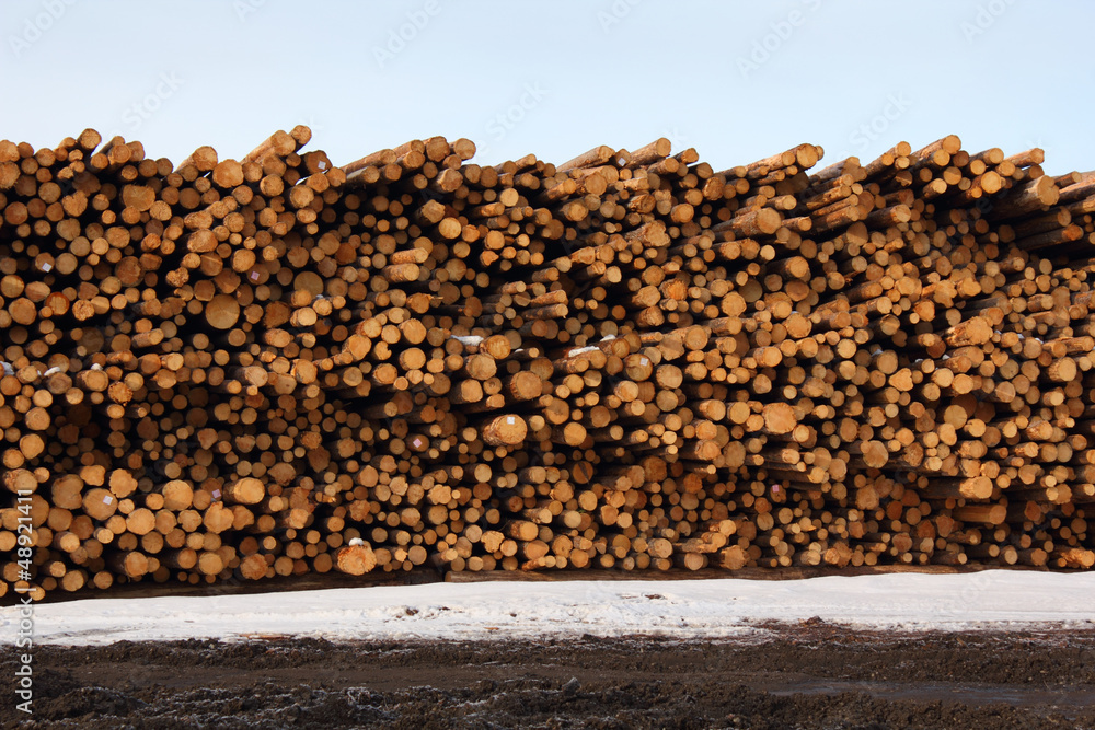 Stacked Timber, Lumber Mill