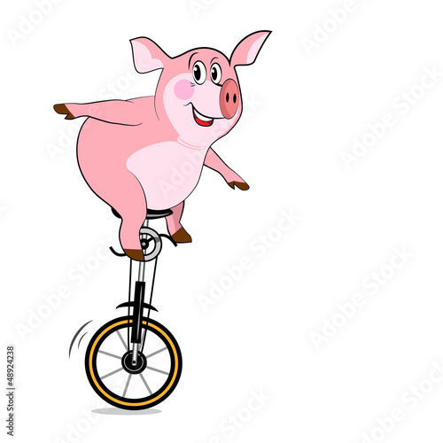 Pig on one wheel. Bicycle With One Wheel
