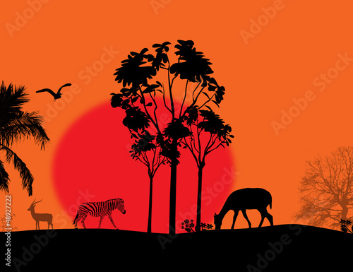 Africa   safari - silhouettes of wild animals