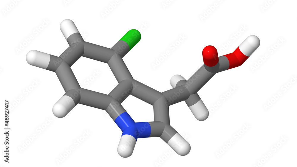 Plant hormone - Auxins - 4-Chloroindole-3-acetic acid - sticks Plant hormone - Auxins - 4-Chloroindole-3-acetic acid - sticks