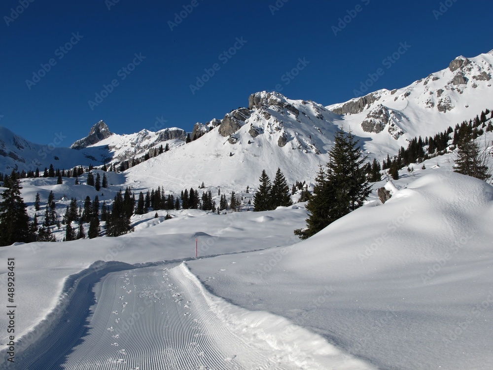 Beautiful winter day, snow landscape and mountains