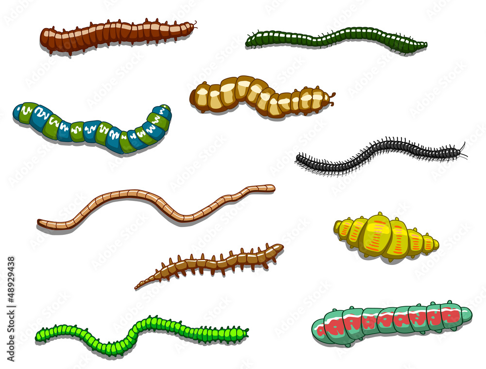 Naklejka premium Worms, slugs and caterpillars