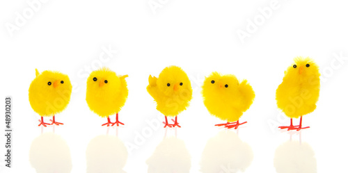 Little easter chicks Fototapet