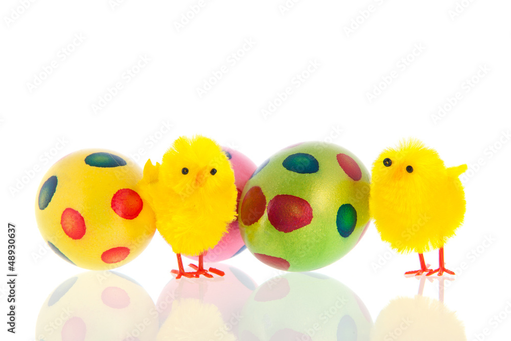 Easter with eggs and little chicks