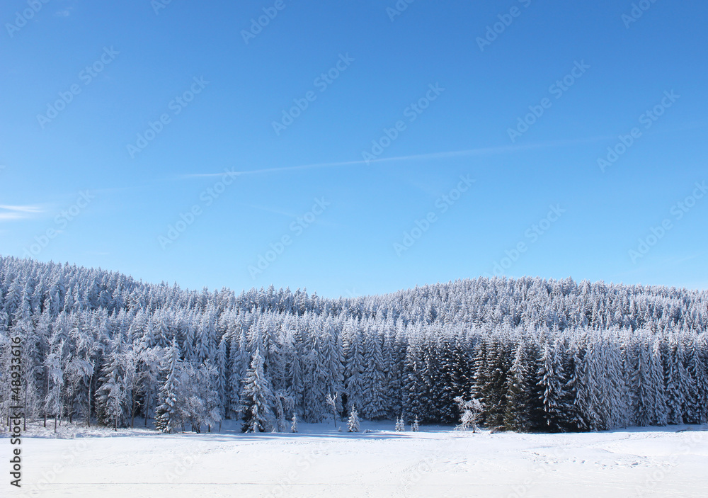 Obraz premium Winterlandschaft Bäume