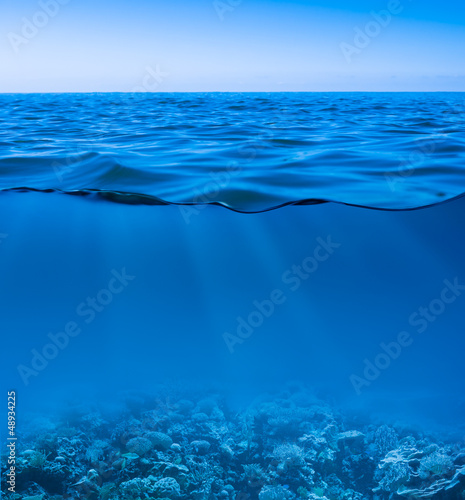 still calm sea water surface with clear sky  and underwater worl photo