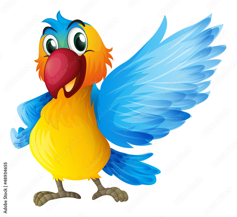 Fototapeta premium A cheerful parrot