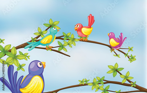 Colorful birds talking