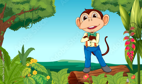 A monkey in the middle of the jungle