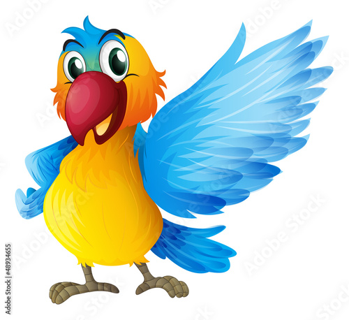 A cheerful parrot