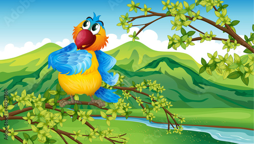 A parrot near the riverbank