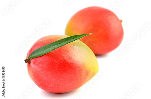 mango fruits isolated on white background