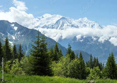 Mont Blanc mountain massif (view from Plaine Joux outskirts) © wildman