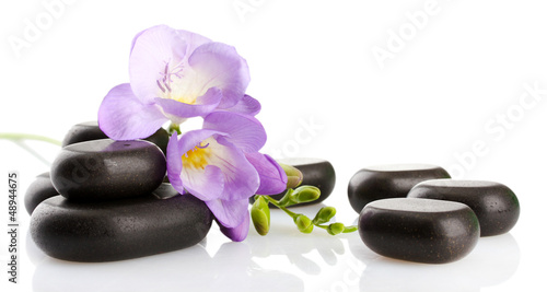 Spa stones and purple flower  isolated on white