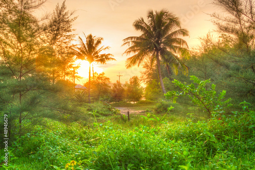 Amazing sunrise in the jungle of Koh Kho Khao, Thailand