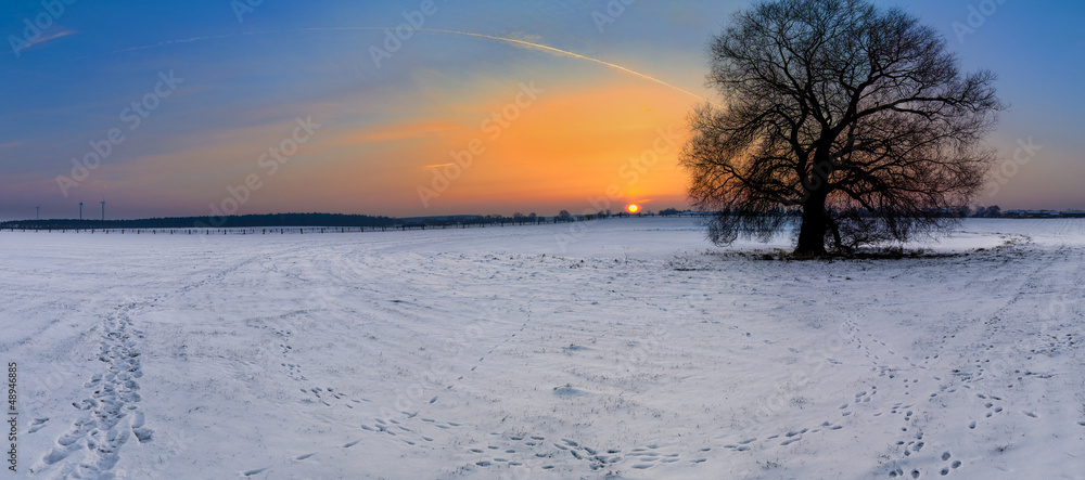 Sonnenaufgang über der Koppel als Panoramafoto