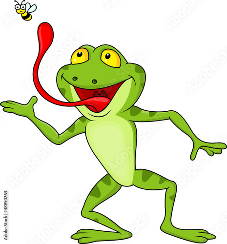 Frog catching fly