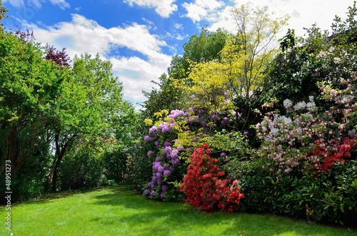 Fototapeta Naklejka Na Ścianę i Meble -  giardino in una luminosa giornata estiva