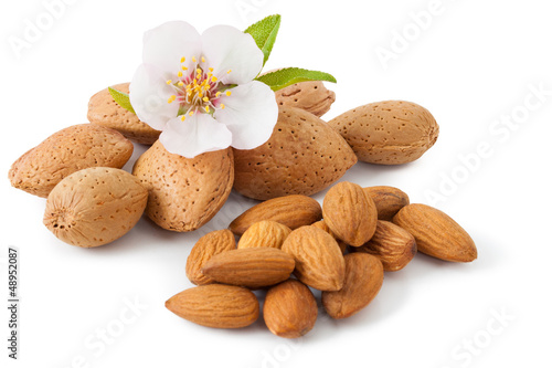 Almond with flower I