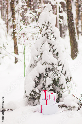 Present in snow decoration © asayenka