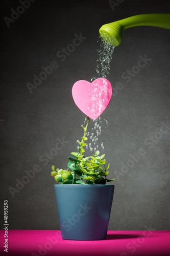 cultivating the love