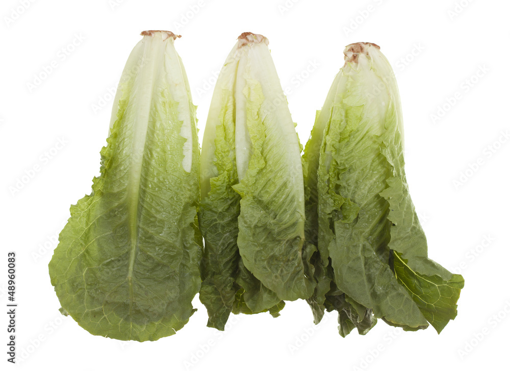Fotografija Romaine Hearts