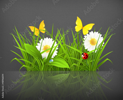 Spring grass