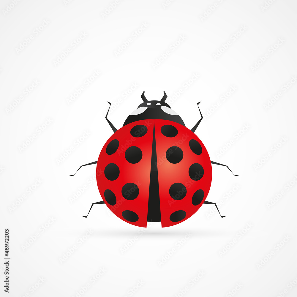 logo design logo design