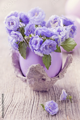 Fototapeta Naklejka Na Ścianę i Meble -  Campanula flowers