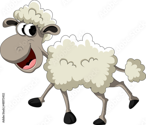 funny sheep cartoon