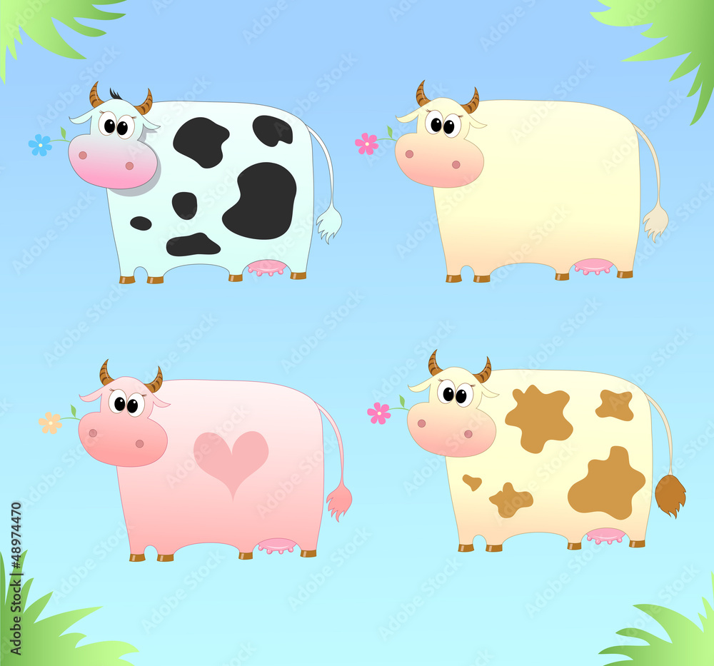 four colored cow four colored cow