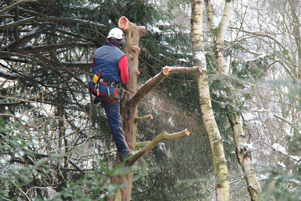 A Lumberjack Removing Branches on a Snowy Day. A Lumberjack Removing Branches on a Snowy Day.