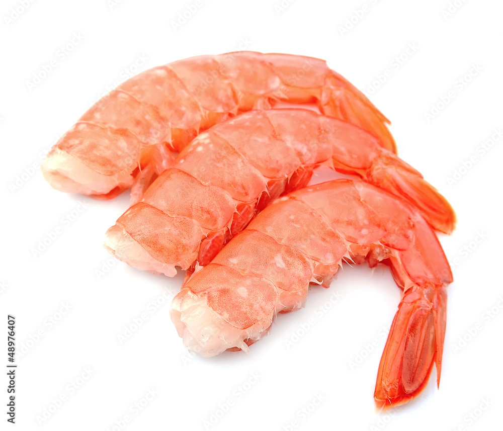 shrimps close up shrimps close up