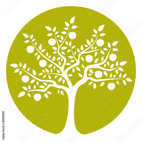 apple tree