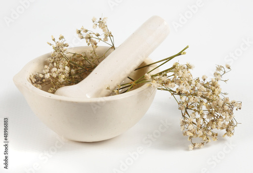 Dried herbs in white mortar