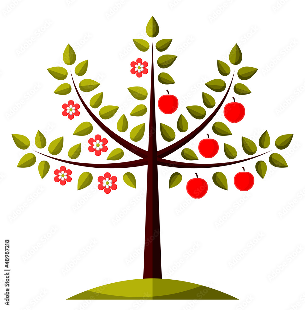 Obraz premium apple tree in two seasons