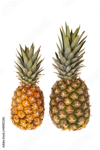 Zwei Ananas Früchte