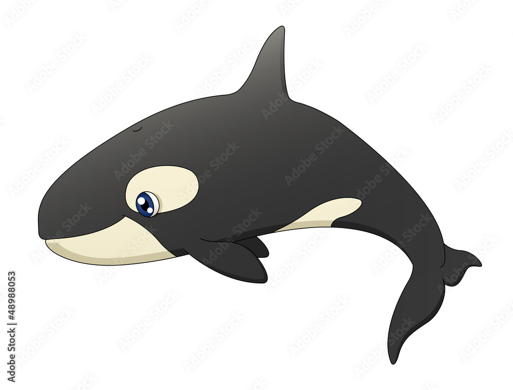Fototapeta premium Orca Swimming