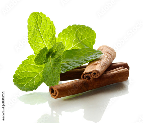 Mint with cinnamon isolated on white