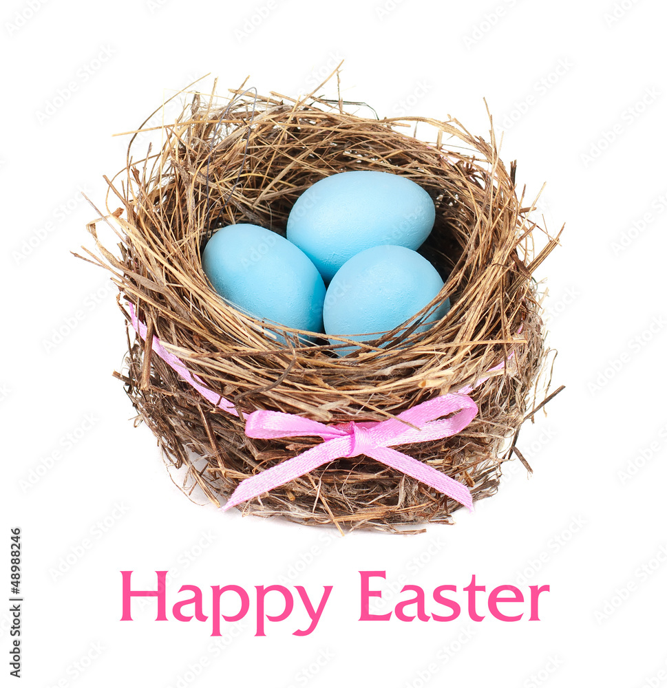 Easter eggs in the nest. On a white background Easter eggs in the nest. On a white background