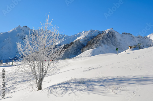 paysage du Massif central en hiver