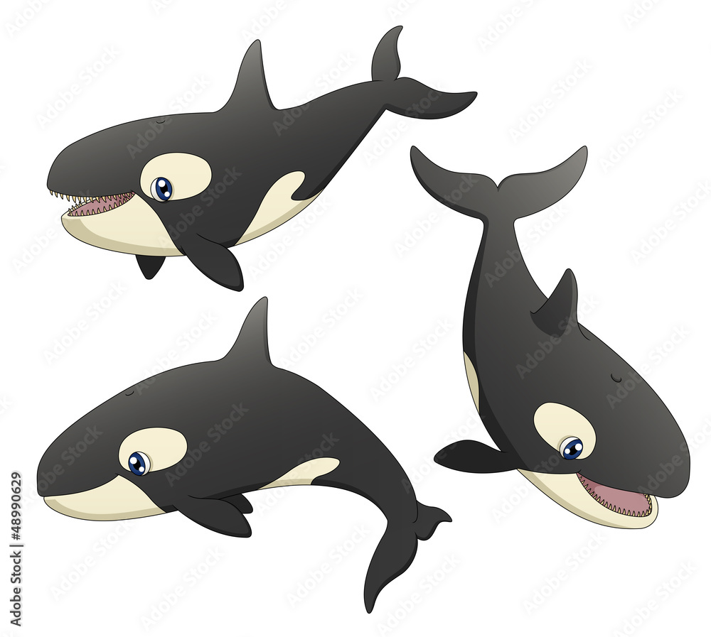 Obraz premium Orca Set