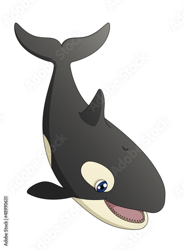 Orca Diving