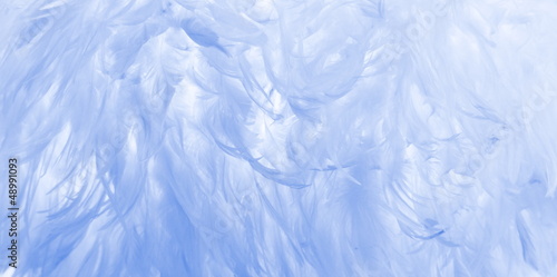 Blue feathers background