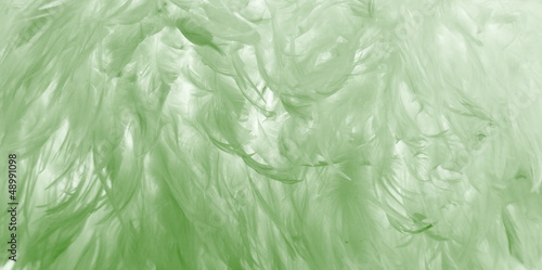 Green feathers background
