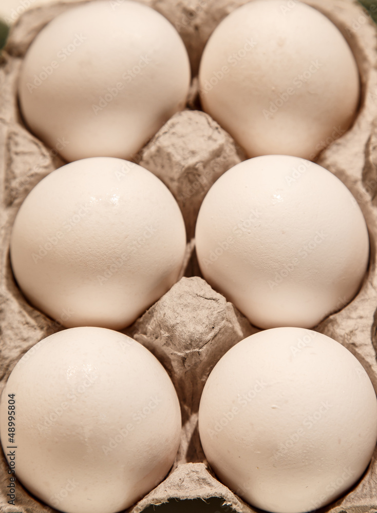 Six Eggs in Carton Six Eggs in Carton
